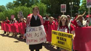 USA: Manifestation pro-palestinienne devant la Maison Blanche