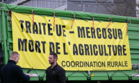 Des agriculteurs, manifestants de la Coordination rurale, devant le Parlement européen de Strasbourg le 19 décembre (ARCHIVES) ( AFP / SEBASTIEN BOZON )