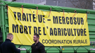 Des agriculteurs, manifestants de la Coordination rurale, devant le Parlement européen de Strasbourg le 19 décembre (ARCHIVES) ( AFP / SEBASTIEN BOZON )