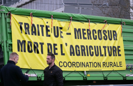 Des agriculteurs, manifestants de la Coordination rurale, devant le Parlement européen de Strasbourg le 19 décembre (ARCHIVES) ( AFP / SEBASTIEN BOZON )