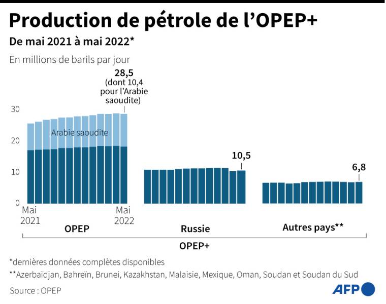 Infographie avec l'évolution de la production de pétrole des 23 pays membres de l'OPEP+, de mai 2021 à mai 2022, selon les données de l'OPEP ( AFP /  )