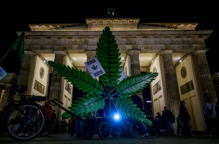 Une fausse feuille de cannabis géante est exposée devant la porte de Brandebourg à Berlin, le 31 mars 2024 ( AFP / John MACDOUGALL )