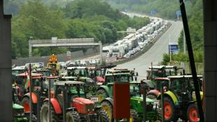 Des agriculteurs bloquent avec leurs tracteurs la frontière franco-espagnole, le 3 juin 2024 à Biriatou, dans les Pyrénées-Orientales ( AFP / GAIZKA IROZ )