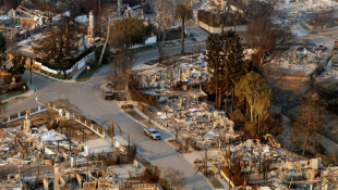 Des maisons détruites par l'incendie dans le quartier de Pacific Palisades à Los Angeles, en Californie, le 9 janvier 2025 ( AFP / JOSH EDELSON )