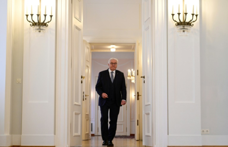 Le président allemand Frank-Walter Steinmeier à Berlin, le 27 décembre 2024 ( AFP / John MACDOUGALL )