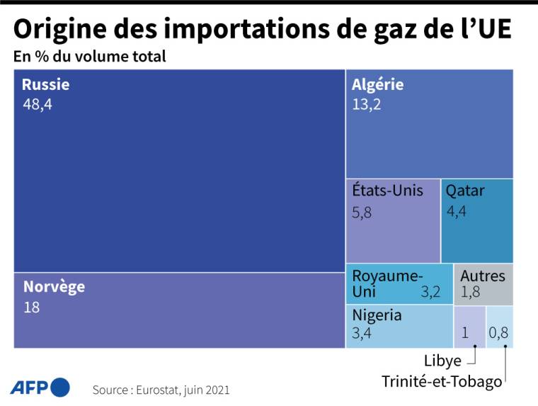 Graphique montrant la proportion et le pays d'origine du gaz importé par l'Union européenne ( AFP /  )