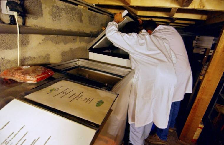 Des inspecteurs vérifient la nourriture stockée dans les congélateurs d'un restaurant ( AFP / MYCHELE DANIAU )