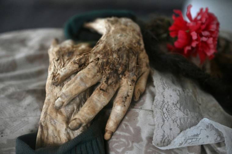 Les mains de la dépouille momifiée de Saturnina Torres, décédée en 1993, au Musée des momies de San Bernardo, en Colombie, le 10 avril 2024 ( AFP / Raul ARBOLEDA )