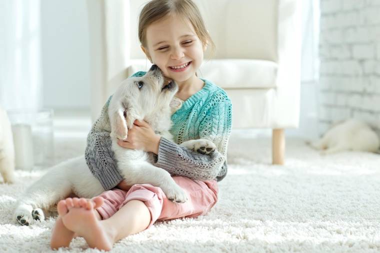 Avoir un animal de compagnie représente un certain coût. ( crédit photo : Shutterstock )
