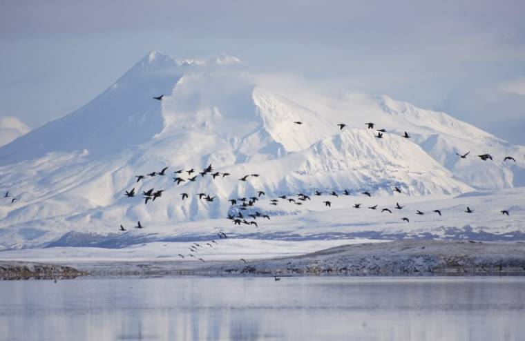 QUANTITÉ RECORD DE NEIGE EN ALASKA À CAUSE DU CHANGEMENT CLIMATIQUE