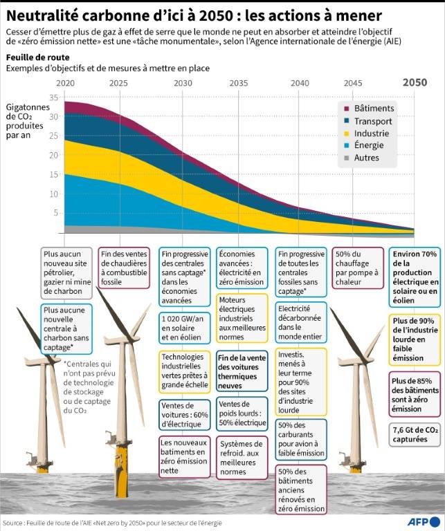 El gráfico muestra cómo sería posible alcanzar la meta neta de carbono cero para 2050, con una hoja de ruta de ejemplos de acciones a tomar en diferentes sectores, según un nuevo informe de la Agencia Internacional de Energía (AIE) (AFP /).