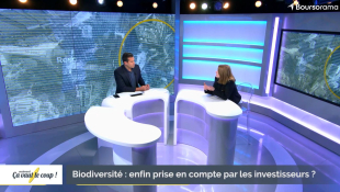 Biodiversité : enfin prise en compte par les investisseurs ?