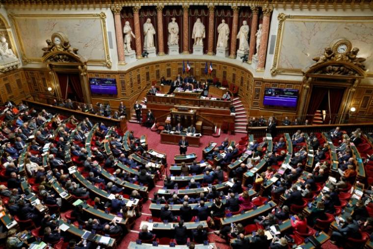 L'hémicycle du Sénat, à Paris, le 14 novembre 2023 ( AFP / Geoffroy Van der Hasselt )