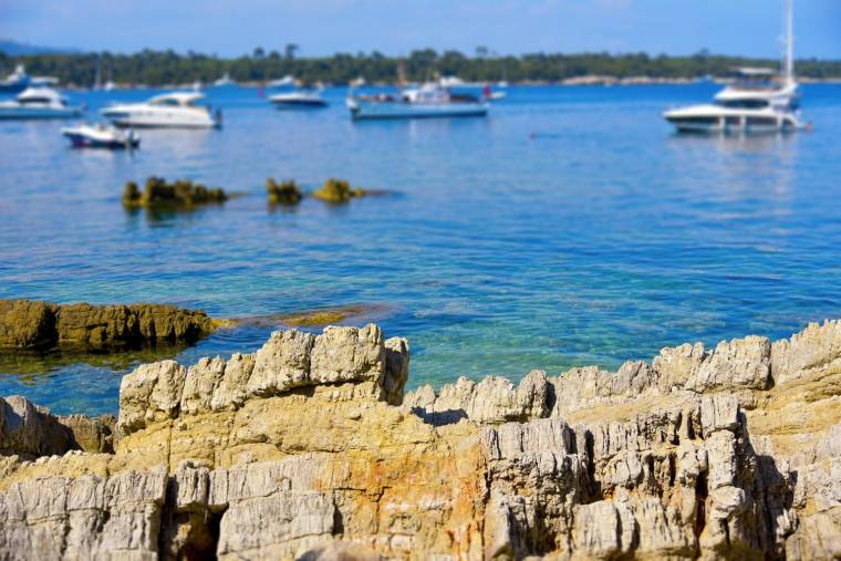Un projet immobilier sous haute surveillance va voir le jour sur la très exclusive Iles Saint-Marguerite, en face de Cannes. crédit photo : Shutterstock