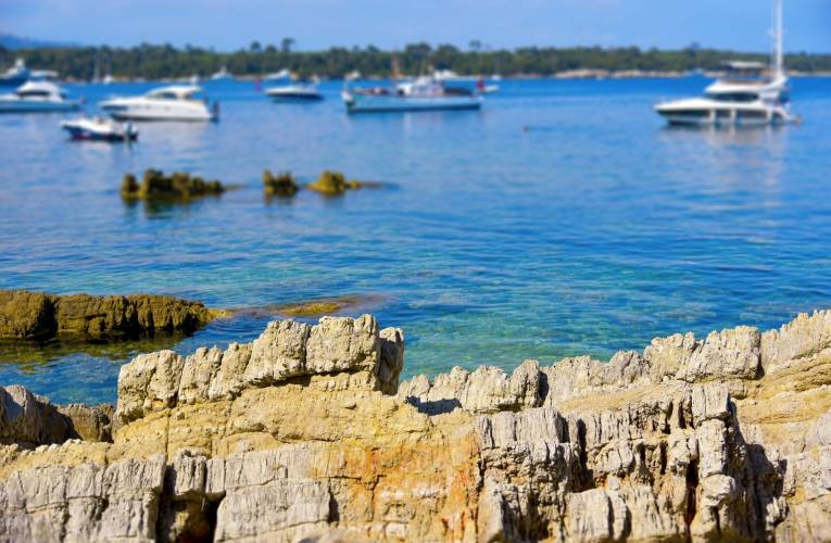 Un projet immobilier sous haute surveillance va voir le jour sur la très exclusive Iles Saint-Marguerite, en face de Cannes. crédit photo : Shutterstock