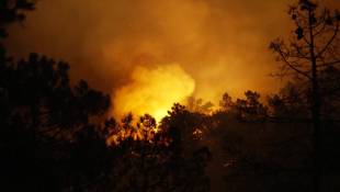 France : un incendie ravage une forêt dans le sud