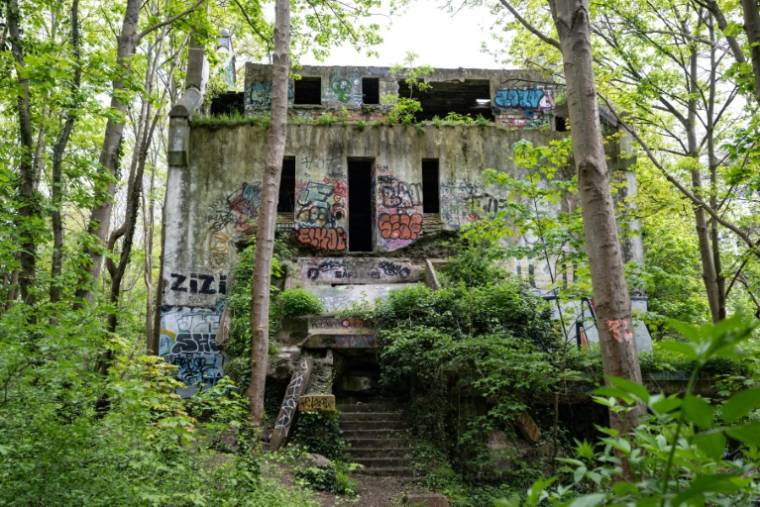 Les ruines de la "Villa Sapène" recouvertes de graffitis, réquisitionnée par les nazis et transformée en maison close pendant la Seconde Guerre mondiale, le 24 avril 2024 au Mesnil-le-Roi, dans les Yvelines ( AFP / MIGUEL MEDINA )