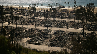 Des maisons ravagées dans le quartier de Pacific Palisades à Los Angeles, le 13 janvier 2025 ( AFP / AGUSTIN PAULLIER )