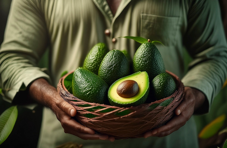 Voici pourquoi manger trop d’avocats est mauvais pour la planète