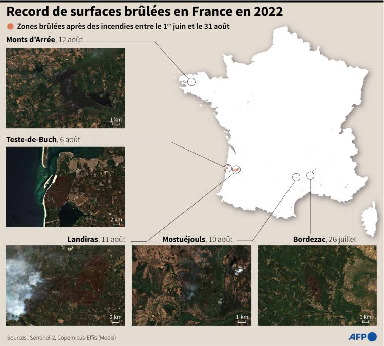 Carte de France montrant les zones brûlées après des incendies entre le 1er juin et le 31 août et images satellite montrant cinq de ces zones ( AFP /  )