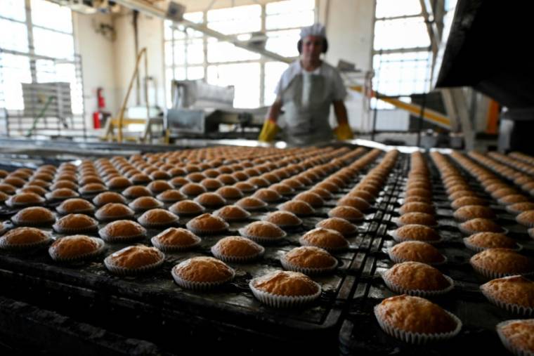 Des petits gâteaux sortent du four de l'usine Dulcypas à La Matanza, dans la province de Buenos Aires, le 17 avril 2024 en Argentine ( AFP / LUIS ROBAYO )