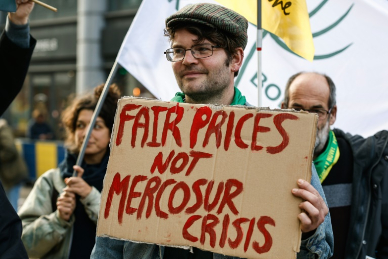 Manifestation contre l'accord de libre-échange entre l'UE et les pays du Mercosur, le 13 novembre 2024 à Bruxelles ( AFP / Simon Wohlfahrt )