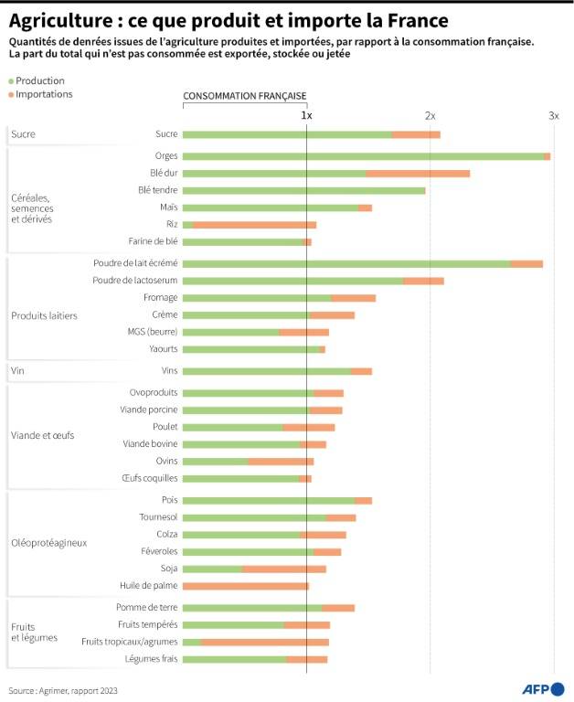 Quantités de denrées issues de l'agriculture produites et importées, par rapport à la consommation française ( AFP / Valentin RAKOVSKY )