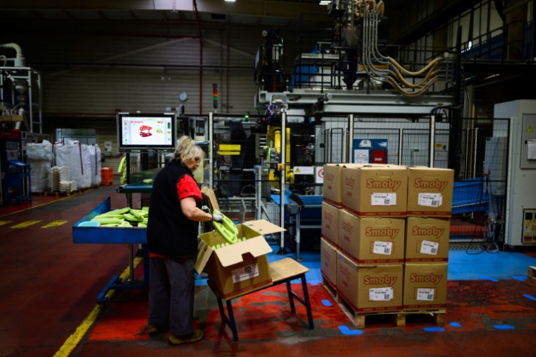 Une employée travaille dans l'usine du fabricant français de jouets Smoby à Arinthod, le 28 novembre 2024 dans le Jura ( AFP / OLIVIER CHASSIGNOLE )