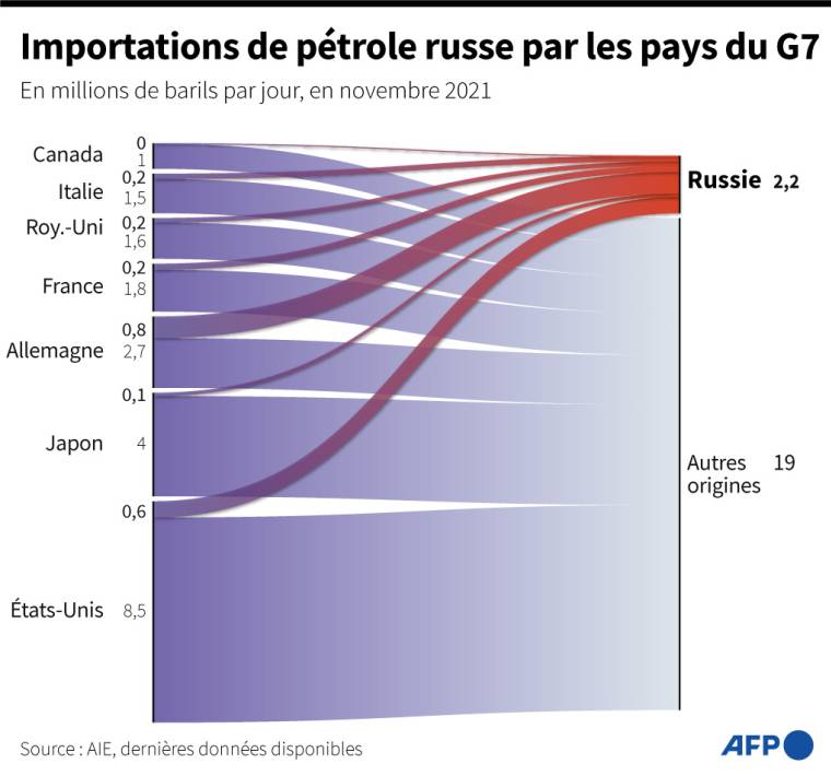 Importations de pétrole russe par les pays du G7 en novembre 2021, selon les données de l'Agence internationale de l'énergie ( AFP /  )