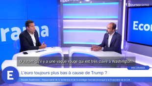 L'euro toujours plus bas à cause de Trump ?