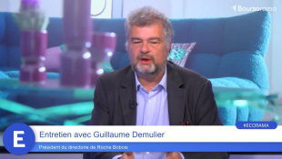 Guillaume Demulier (Président de Roche Bobois) : "Cette baisse du cours ces derniers jours est un moyen d'entrer de façon favorable !"