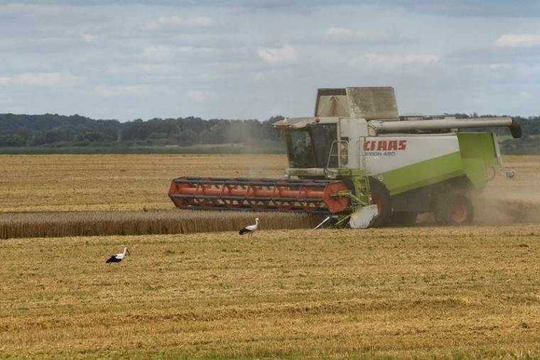Récolte du blé dans la région de Kyiv sur fond d'attaque de la Russie contre l'Ukraine