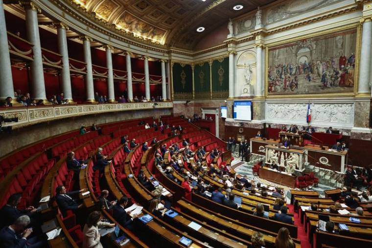 L'hémicycle de l'Assemblée nationale, à Paris