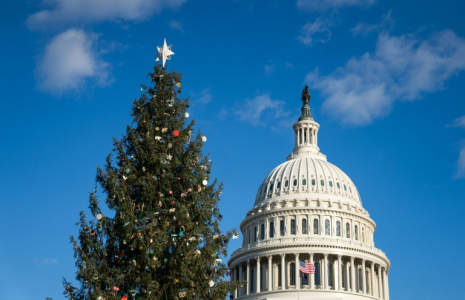 Le sapin de Noël du Capitole de Washington, le 6 décembre 2024 ( AFP / Allison ROBBERT )