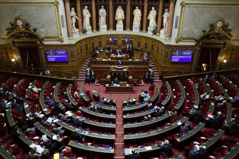 L'hémicycle du Sénat, qui entame jeudi l'examen du premier volet des mesures en faveur du pouvoir d'achat  ( AFP / Thomas SAMSON )