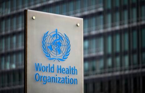 Plusieurs dizaines de cas suspects ou confirmés de variole du singe ont été détectés depuis début mai en Europe et en Amérique du Nord ( AFP / Fabrice COFFRINI )