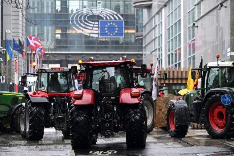 Manifestation d'agriculteurs devant le Parlement européen, le 26 février 2024 à Bruxelles ( AFP / JOHN THYS )