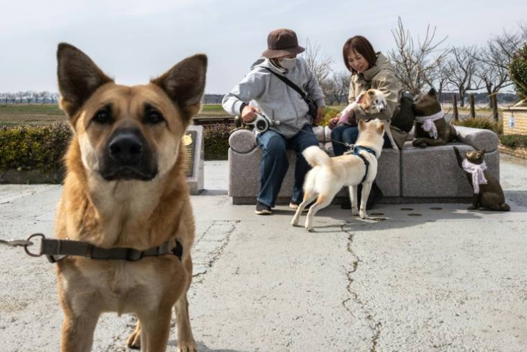 La Japonaise Atsuko Sato (d) visite avec sa chienne Kabosu, star d'internet, le parc où une statue de l'animal a été installée, le 19 mars 2024 à Sakura, dans la préfecture de Chiba ( AFP / Philip FONG )