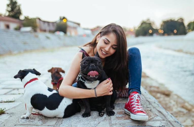 Plusieurs formules permettent de faire garder votre animal de compagnie pendant votre absence. ( crédit photo : Shutterstock )