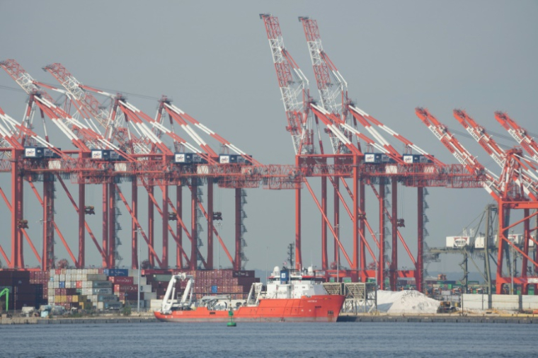 Le port de Newark (New Jersey), le 4 octobre 2024 ( AFP / Bryan R. SMITH )