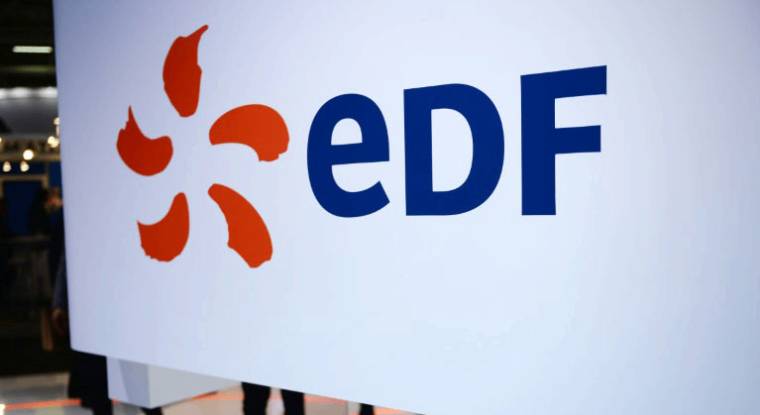 EDF Au Salon mondial du nucléaire au Bourget. (© E. Piermont / AFP)