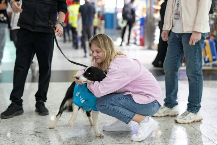 Une voyageuse caresse Alita, une chienne de thérapie pour réconforter les passagers stressés avant leur embarquement à l'aéroport d'Istanbul, le 3 mai 2024 en Turquie ( AFP / Yasin AKGUL )