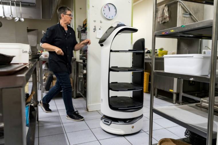 Le robot serveur "Bella" au restaurant Le Cap 180, à Cieurac, dans le Lot, le 14 mai 2024. Créé par la start-up chinoise Pudu, le robot est équipé de capteurs qui lui permettent d'identifier les obstacles et de reconnaître les tables ( AFP / Matthieu RONDEL )