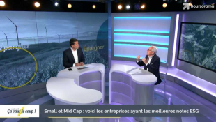 Small et Mid Cap : voici les entreprises ayant les meilleures notes ESG