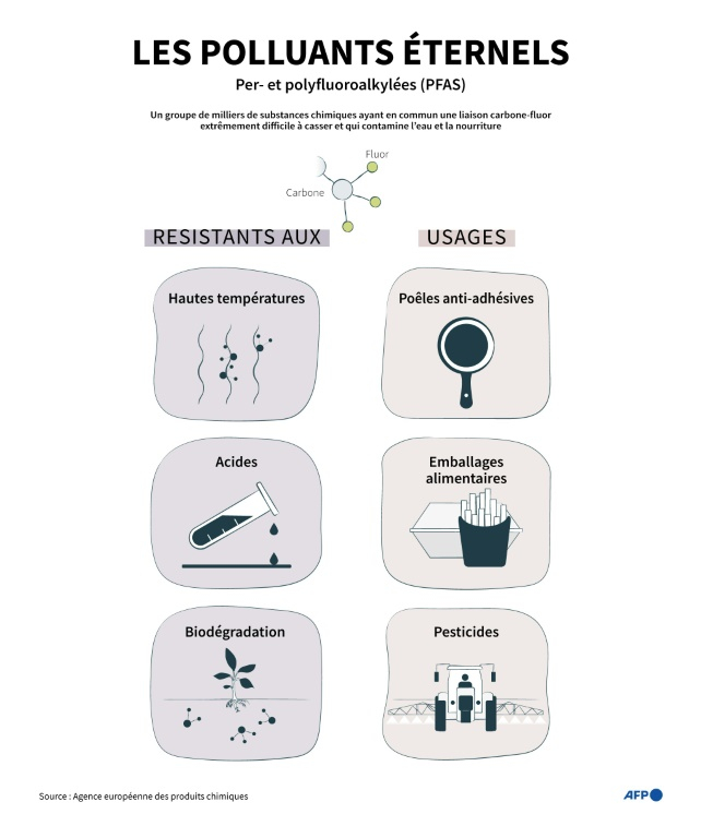 Propriétés et usages d'un groupe de substances chimiques, les per- et polyfluoroalkylées (PFAS) aussi connu sous le nom de "polluants éternels" ( AFP / Jonathan WALTER )