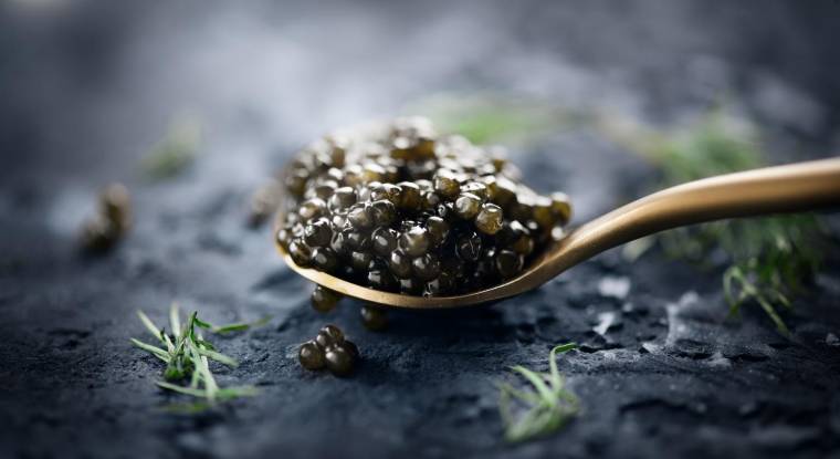 Le caviar est depuis 100 ans synonyme de luxe, de richesse, de rareté, de fastes, de raffinement… et désormais de Made in France. crédit photo : Shutterstock