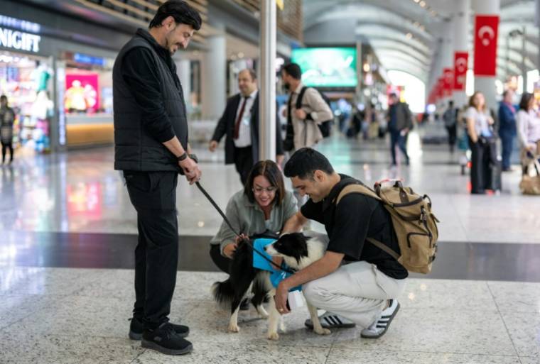 Des voyageurs caressent Alita, une chienne de thérapie pour réconforter les passagers stressés avant leur embarquement à l'aéroport d'Istanbul, le 3 mai 2024 en Turquie ( AFP / Yasin AKGUL )