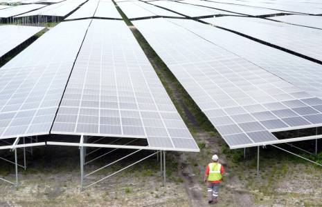 Une ferme solaire de Neoen à Cestas. ( AFP / MEHDI FEDOUACH )