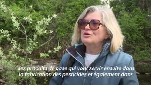 Dans un berceau de la chimie du sud de la France, les "polluants éternels" inquiètent