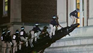 Intervention de la police de New York à l'Université Columbia mardi 30 avril 2024 ( AFP / KENA BETANCUR )